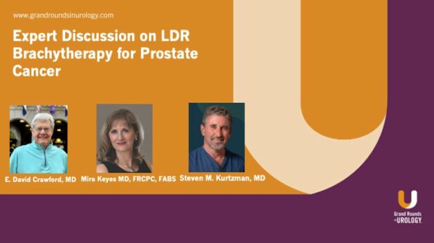 Expert Discussion on LDR Brachytherapy for Prostate Cancer