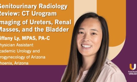 Genitourinary Radiology Review: CT Urogram