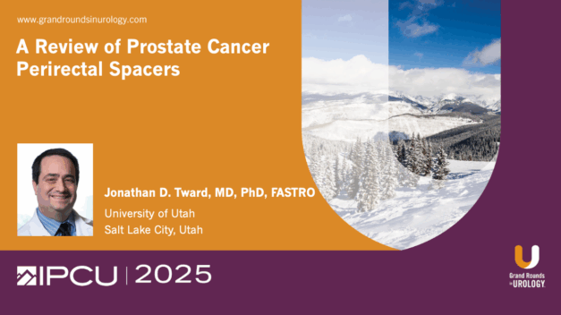 A Review of Prostate Cancer Perirectal Spacers