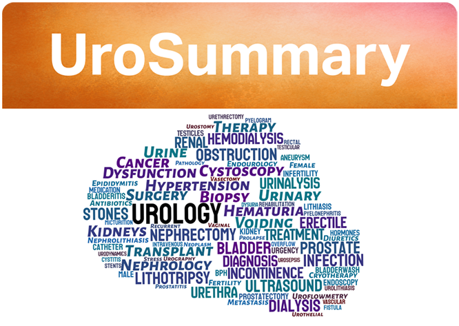 UroSummary