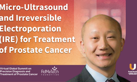 Micro-Ultrasound and Irreversible Electroporation (IRE) for Treatment of Prostate Cancer