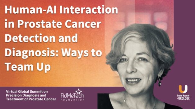 Human–AI Interaction in Prostate Cancer Detection and Diagnosis: Ways to Team Up