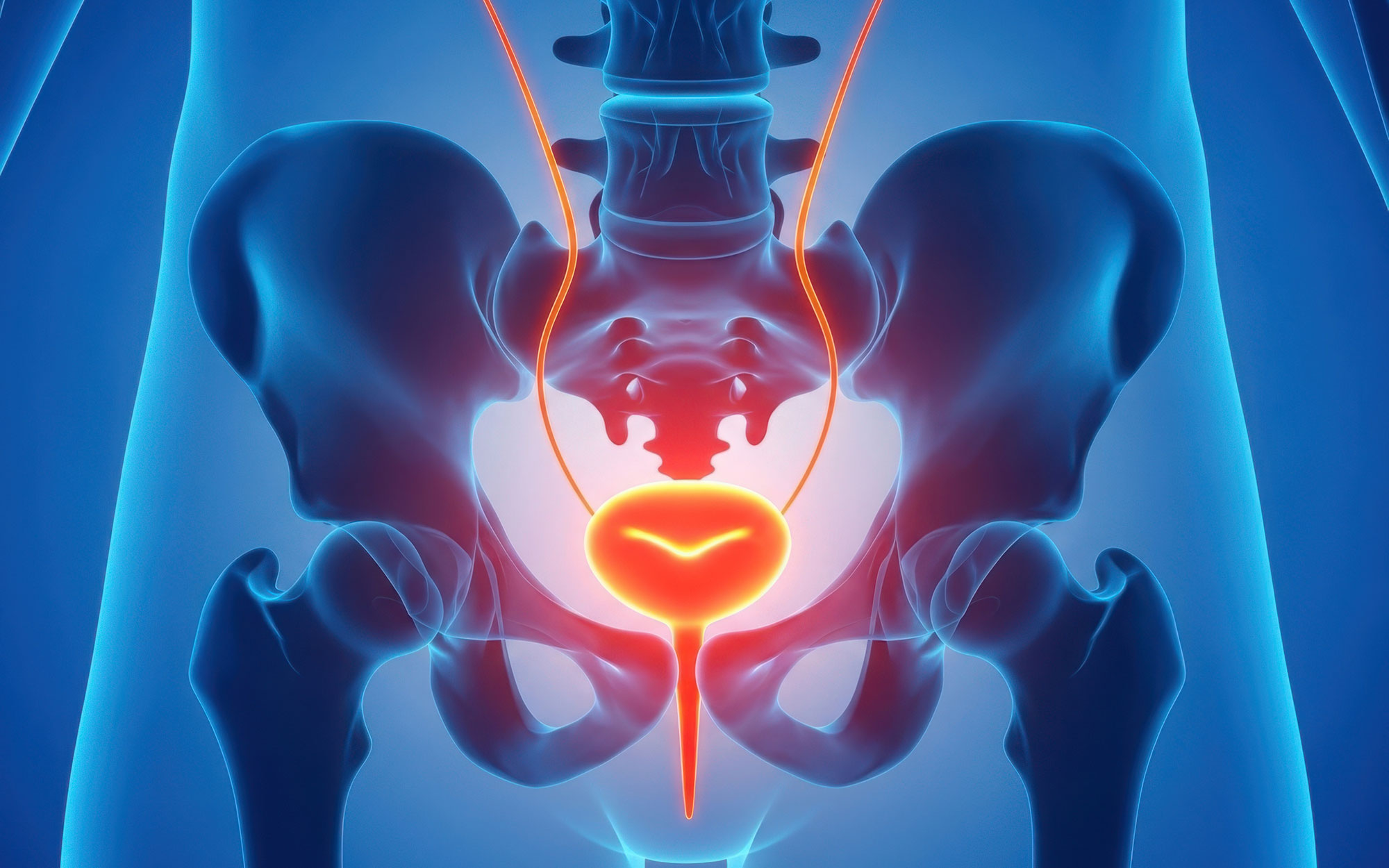 Bladder and Pelvic Rehabilitation