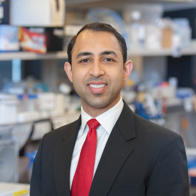 Mohammad O. Atiq, MD, FACP