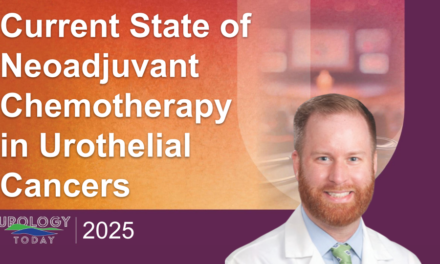 Current State of Neoadjuvant Chemotherapy in Urothelial Cancers