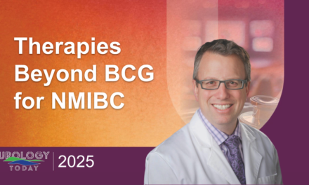 Therapies Beyond BCG for NMIBC