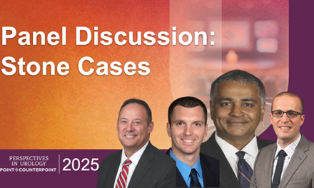 Panel Discussion: Stone Cases