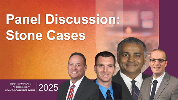 Panel Discussion: Stone Cases