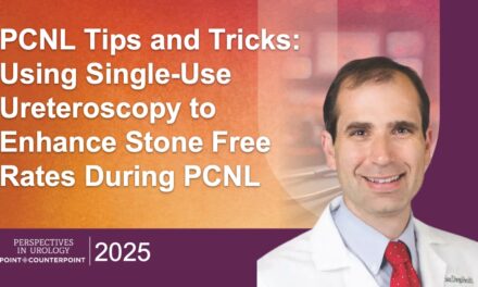 PCNL Tips & Tricks: Using Single-Use Ureteroscopy to Enhance Stone Free Rates During PCNL