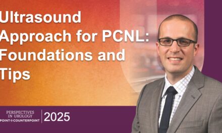 Ultrasound Approach for PCNL: Foundations and Tips