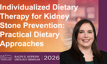 Individualized Dietary Therapy for Kidney Stone Prevention: Practical Dietary Approaches