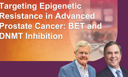 Targeting Epigenetic Resistance in Advanced Prostate Cancer: BET and DNMT Inhibition