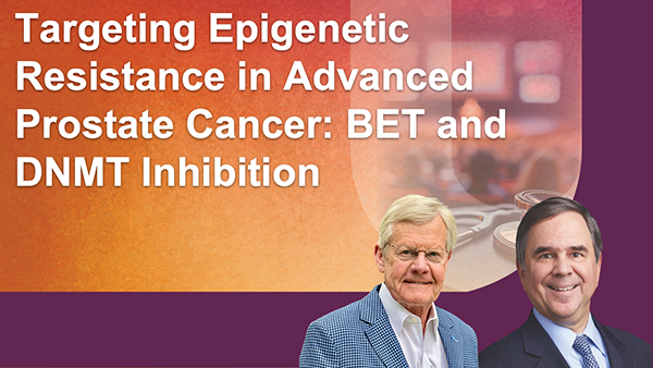 Targeting Epigenetic Resistance in Advanced Prostate Cancer: BET and DNMT Inhibition